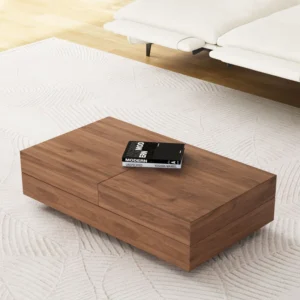 Living room coffee table (with storage function), modern living room furniture, Brown